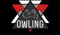 The Owling screenshot, image №1234535 - RAWG