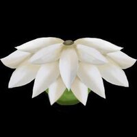 Garden Growth screenshot, image №3648451 - RAWG