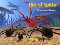 Life Of Spider screenshot, image №973845 - RAWG