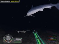 Shark! Hunting the Great White screenshot, image №304725 - RAWG
