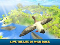 Duck Simulator 3D: Flying Bird Life screenshot, image №1796840 - RAWG