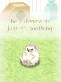 Virtual Therapeutic Hedgehog Pet screenshot, image №1662197 - RAWG
