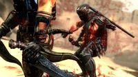 Ninja Gaiden 3 screenshot, image №564142 - RAWG