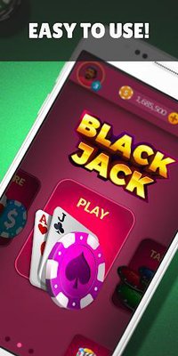 Blackjack 21 - Side Bets screenshot, image №1413350 - RAWG