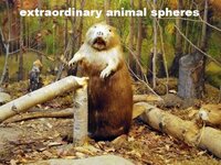 Extraordinary Animal Spheres screenshot, image №2623610 - RAWG