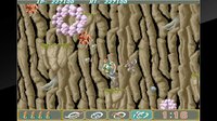 Arcade Archives Ninja Spirit screenshot, image №1989027 - RAWG