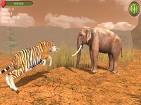 Hungry Tiger 3D screenshot, image №1333831 - RAWG