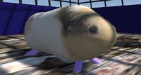 Guinea pig simulator screenshot, image №3280475 - RAWG