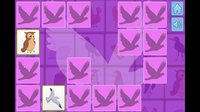 Bird Memory screenshot, image №1732984 - RAWG