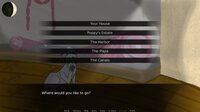 Black Cat Catalyst screenshot, image №3349057 - RAWG