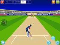 Cricket Power-Play screenshot, image №1662604 - RAWG