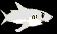 Shark Dash, Super Speed screenshot, image №1775278 - RAWG