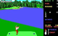 World Class Leader Board Golf screenshot, image №337937 - RAWG