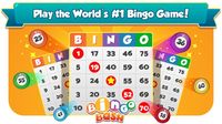 Bingo Bash screenshot, image №691467 - RAWG