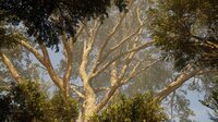Calming Forest screenshot, image №4178577 - RAWG