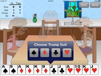 Pinochle Pro screenshot, image №1662802 - RAWG