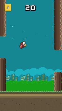 Flappy Birdz screenshot, image №1296939 - RAWG