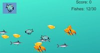 Colorful Fish Catcher screenshot, image №1272626 - RAWG