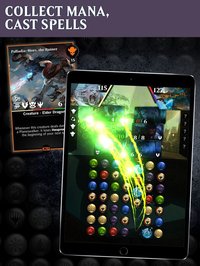 Magic: The Gathering - Puzzle Quest screenshot, image №1646167 - RAWG