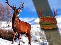 Deer Hunting 2017 Pro: Ultimate Sniper Shooting 3D screenshot, image №1614869 - RAWG