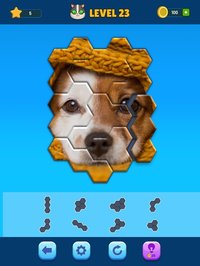 Hexa Jigsaw Puzzle screenshot, image №2207535 - RAWG