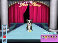 Hollywood Pets screenshot, image №505163 - RAWG