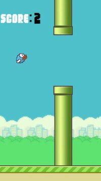 Flappy Bird (itch) (DARK SHINE GAMES) screenshot, image №3205497 - RAWG