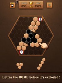 Wooden Hexagon Fit: Hexa Block screenshot, image №903118 - RAWG