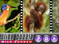 Slide Puzzle Borneo (The land below the Wind) screenshot, image №1795677 - RAWG