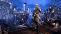 The Elder Scrolls Online: Summerset Collector's Ed. Upgrade - Prepurchase screenshot, image №778619 - RAWG