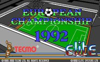 European Championship 1992 (Old) screenshot, image №748291 - RAWG