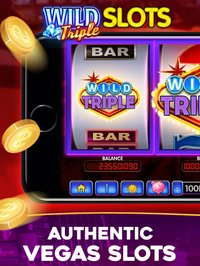 Wild Triple Slots screenshot, image №895301 - RAWG