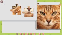 1001 Jigsaw. Cute Cats 3 screenshot, image №3744122 - RAWG