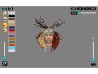 Digital Hair Simulator screenshot, image №2710359 - RAWG