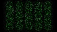Cellular (maoap) screenshot, image №2802113 - RAWG