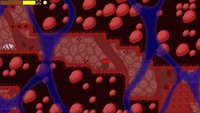Ninja Turdle screenshot, image №2369205 - RAWG