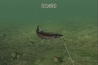 Reel Fishing Challenge screenshot, image №247304 - RAWG