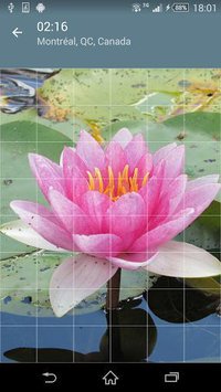 Jigsaw Puzzle: Flowers screenshot, image №1497464 - RAWG