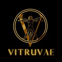 Vitruvæ screenshot, image №3640515 - RAWG