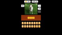 Photo Quiz - Animals screenshot, image №3956821 - RAWG