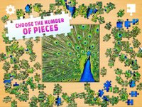 Jigsaw Puzzle: Create Pictures with Wood Pieces screenshot, image №2085382 - RAWG