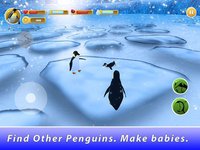 Penguin Family Simulator screenshot, image №1625930 - RAWG