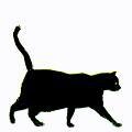 Nine Lives (Playdate) screenshot, image №3400633 - RAWG