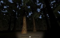 ALONE IN THE DARK FOREST BETA screenshot, image №2450563 - RAWG