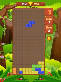 Tetro Legend - Block Puzzle screenshot, image №1327776 - RAWG