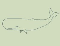 Thar she blows! screenshot, image №1070375 - RAWG