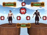 Kungfu Warriors 3D Free screenshot, image №2061779 - RAWG