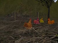 Chicken Life Sim screenshot, image №3626109 - RAWG