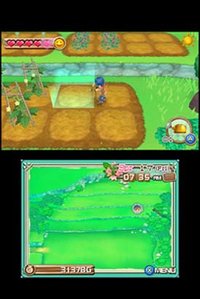 Harvest Moon 3D: A New Beginning screenshot, image №795303 - RAWG