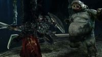 Dark Souls II: Scholar of the First Sin screenshot, image №110451 - RAWG